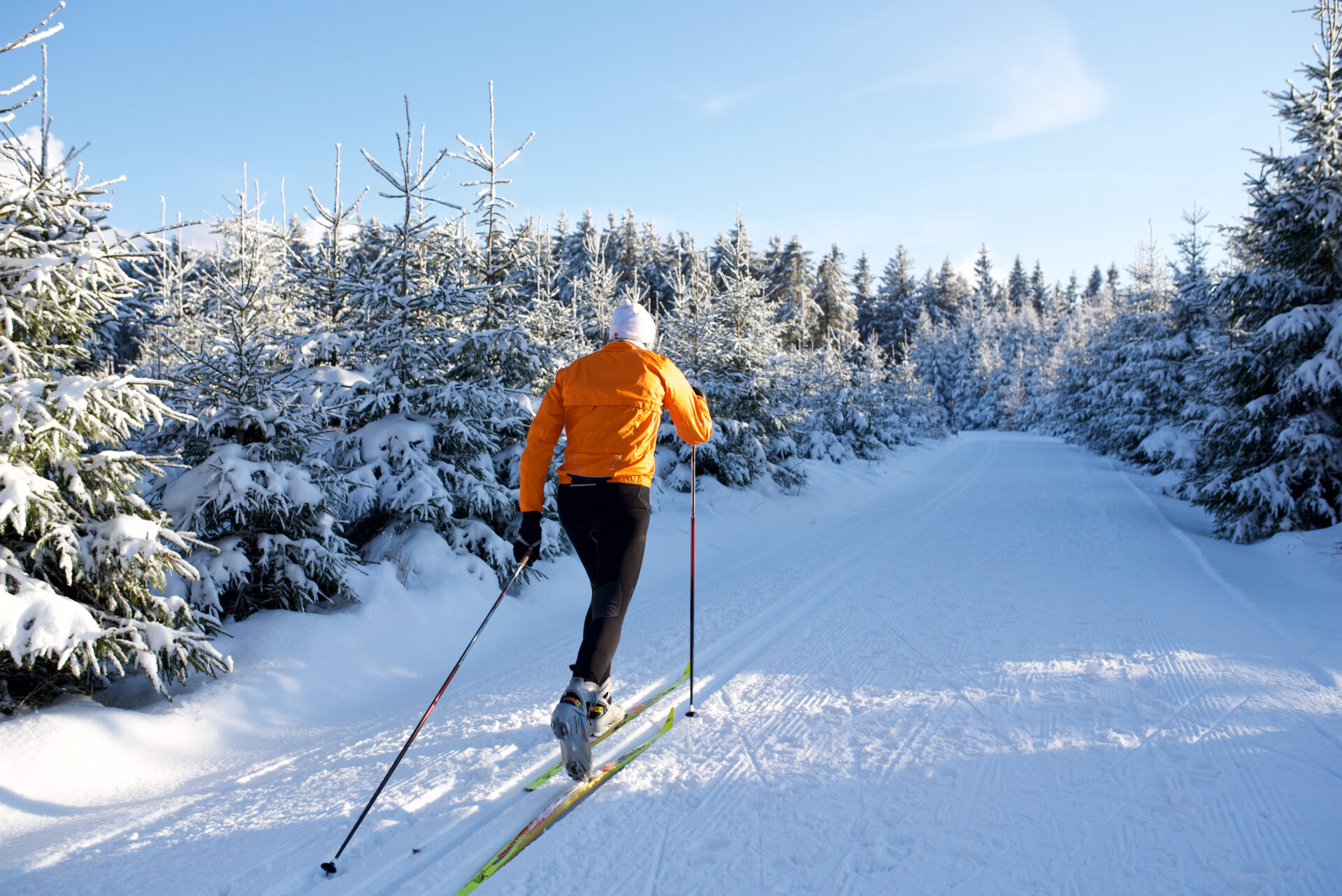 Langlauf Im Thüringer Wald, Loipe Mit Skifahrer, Rennsteig 8